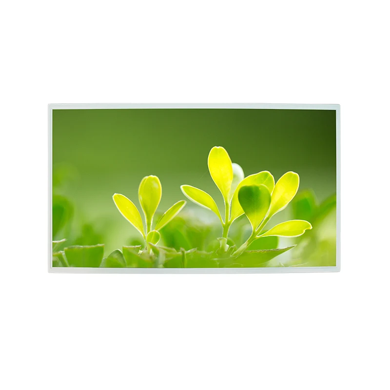 21.5 'உயர் பிரகாசம் FHD IPS வண்ணம் TFT LCD காட்சி தொகுதி